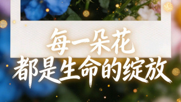 好句积累，工作日志模板