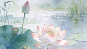精致句子发朋友圈,早上问候语温馨短句