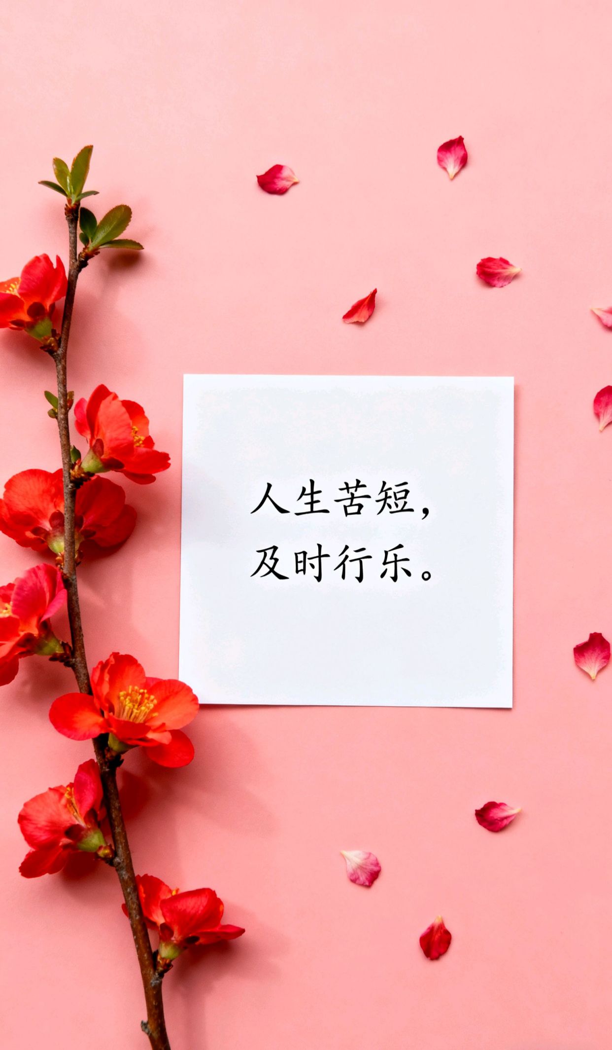 人生透彻感悟的文案,走心了最经典一句话