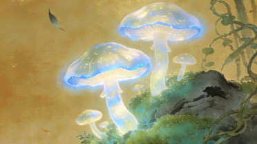 发圈说说精美句子,留住岁月,记录美好