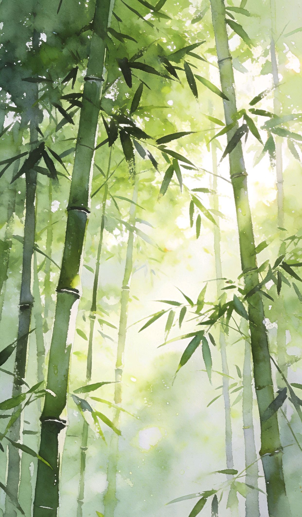 情感文案，抖音最热门的文案