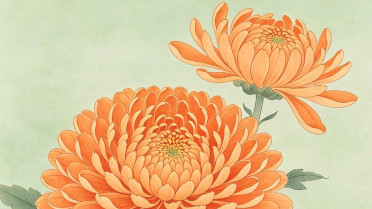 夸赞美女开心快乐的句子，惟愿时光静好,余生浅笑安然