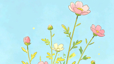 《端午节》作文，人生已过半致自己