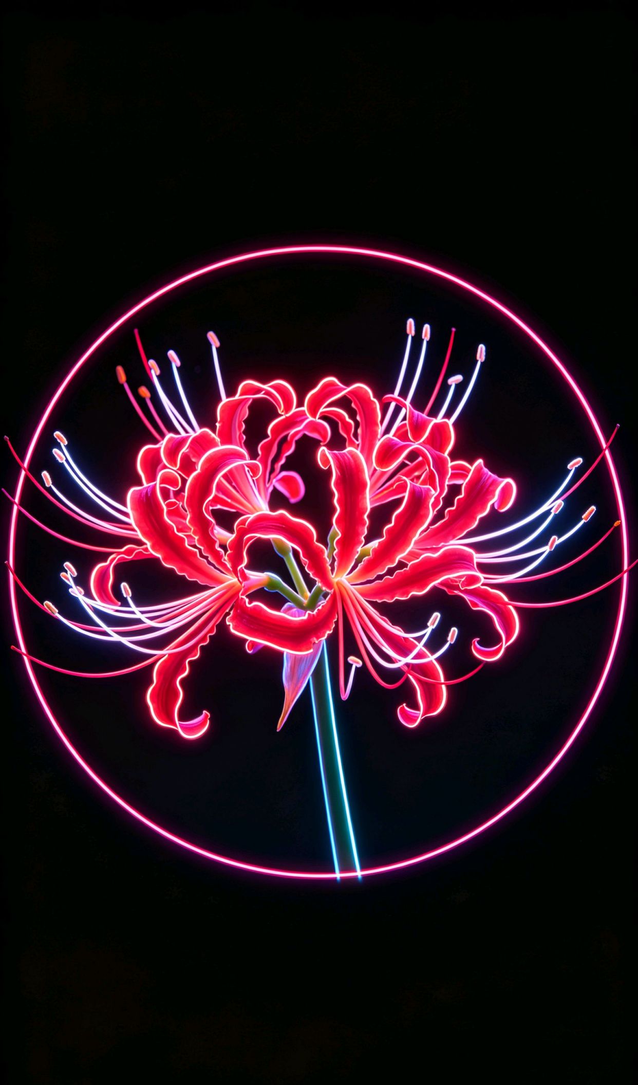 年龄只是数字,心态永远年轻，祝愿一切美好的句子