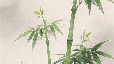 女人转运聚财霸气签名,有格局成熟的个性签名