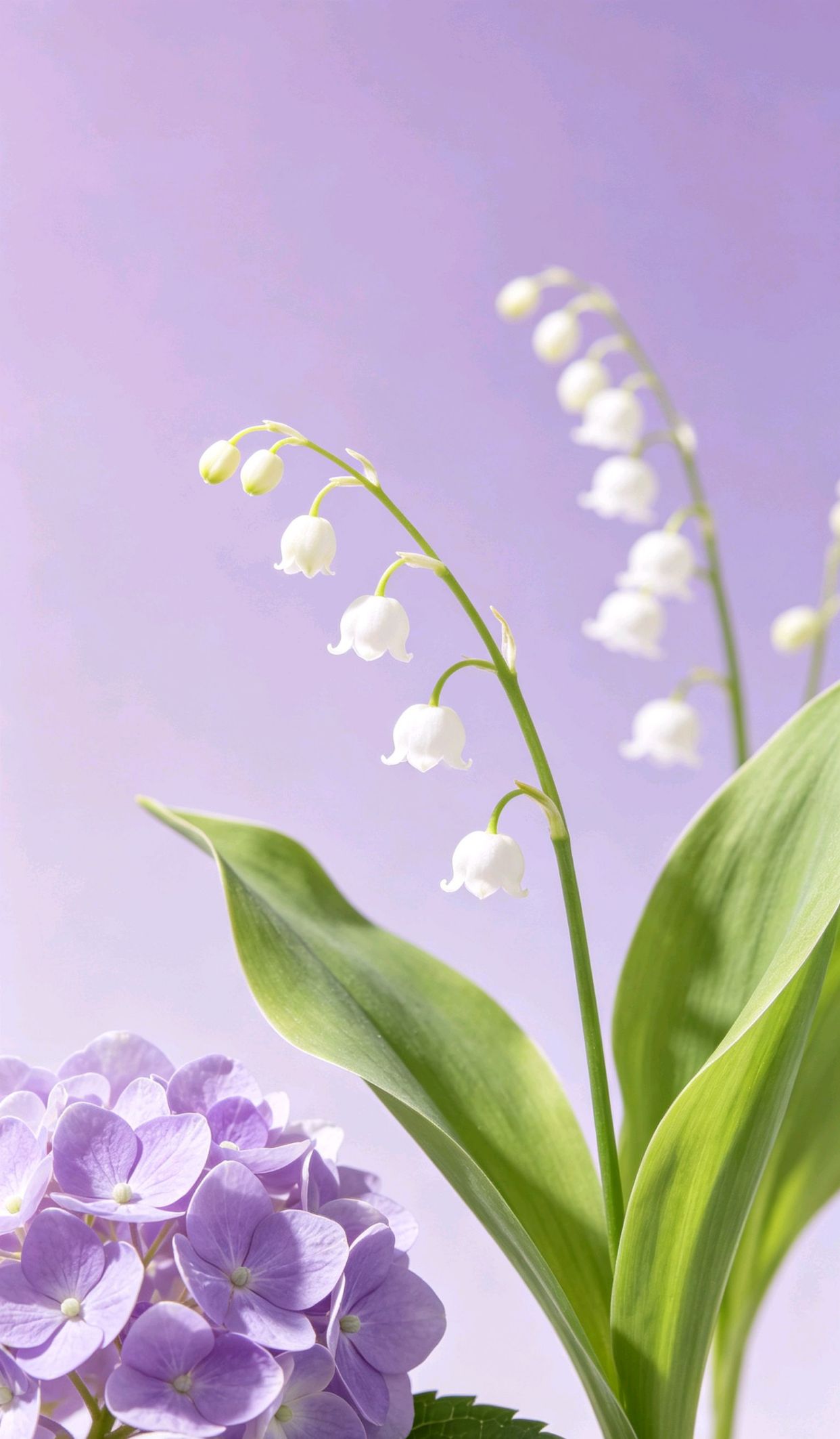 直播间留人话术幽默话，浪漫且自由文案